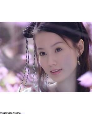 丁子骏